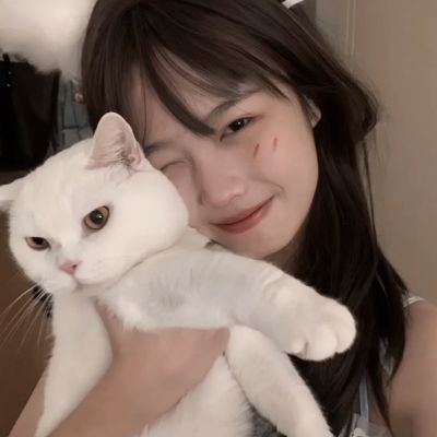 龙之逆手游官方
