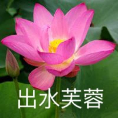 光影世界手游九游版下载